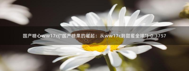 破解版糖心vlog：国产糖心ww17c(\