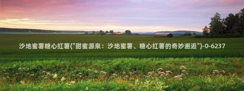 糖心vlog资源：沙地蜜薯糖心红薯(\