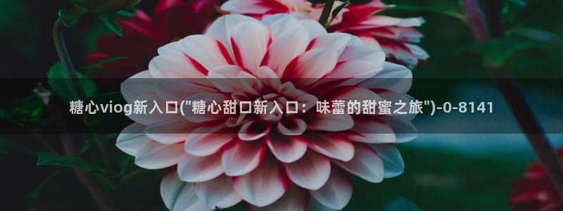 糖心vlog下载方式：糖心viog新入口(\