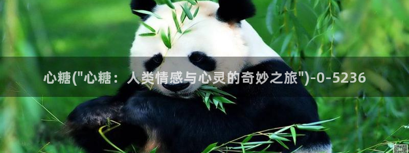 txvlog糖心：心糖(\