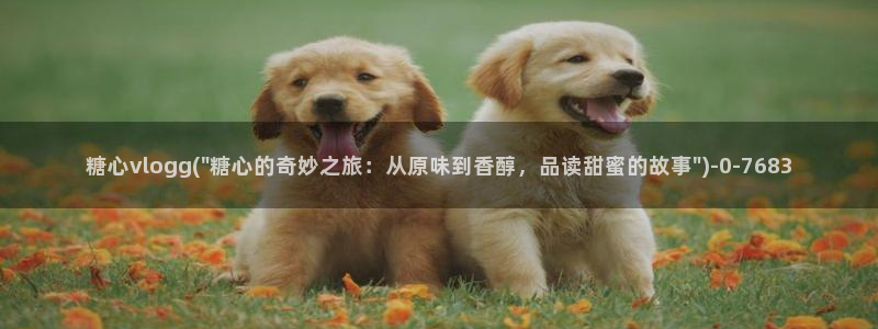 糖心vlog免费下：糖心vlogg(\