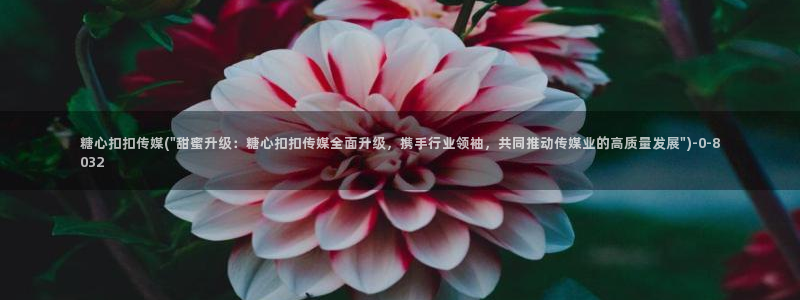 糖心 vlog 在线：糖心扣扣传媒(\