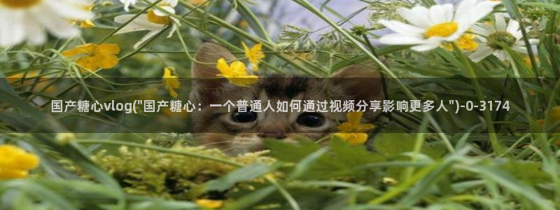 糖心vlog在线观看高清