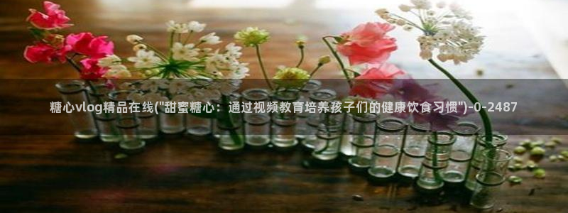 糖心vlog破解版下载www：糖心vlog精品在线(\