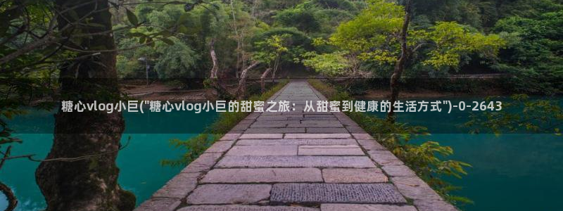 糖心vlog0