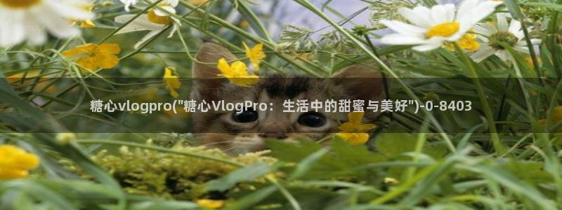 糖心vlog管网：糖心vlogpro(\